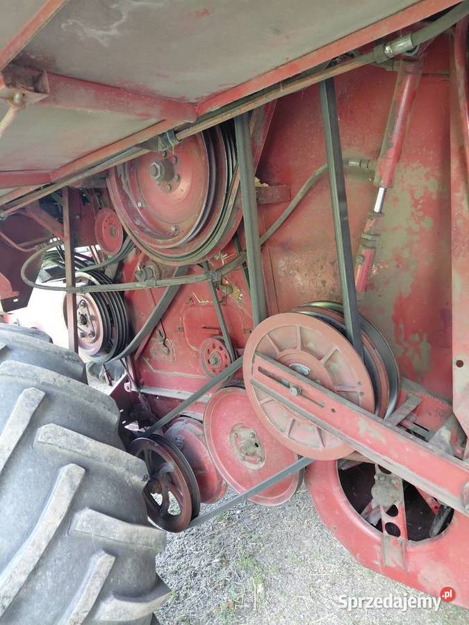 Bizon Zo56 Bizon lubelskie Piaski