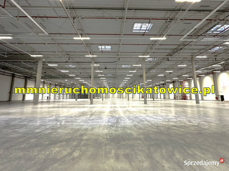 Halamagazyn do wynajęcia Katowice dojazd do parking