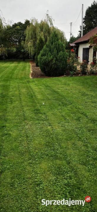 Sprzedam łódzkie Siemienice