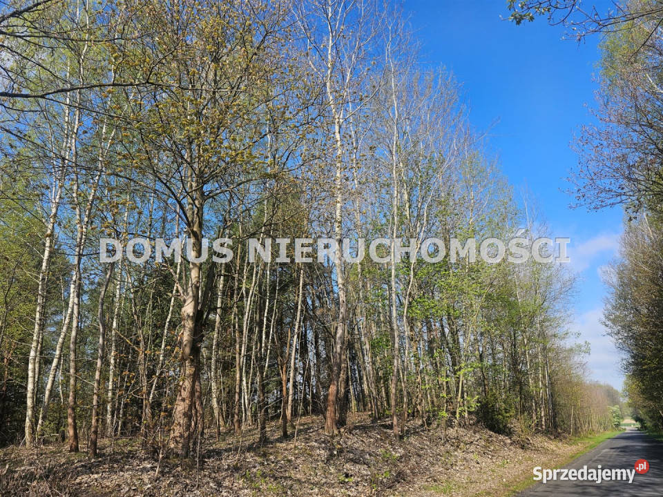 sprzedaży gruntu Teklin 6800m2 Sprzedaż