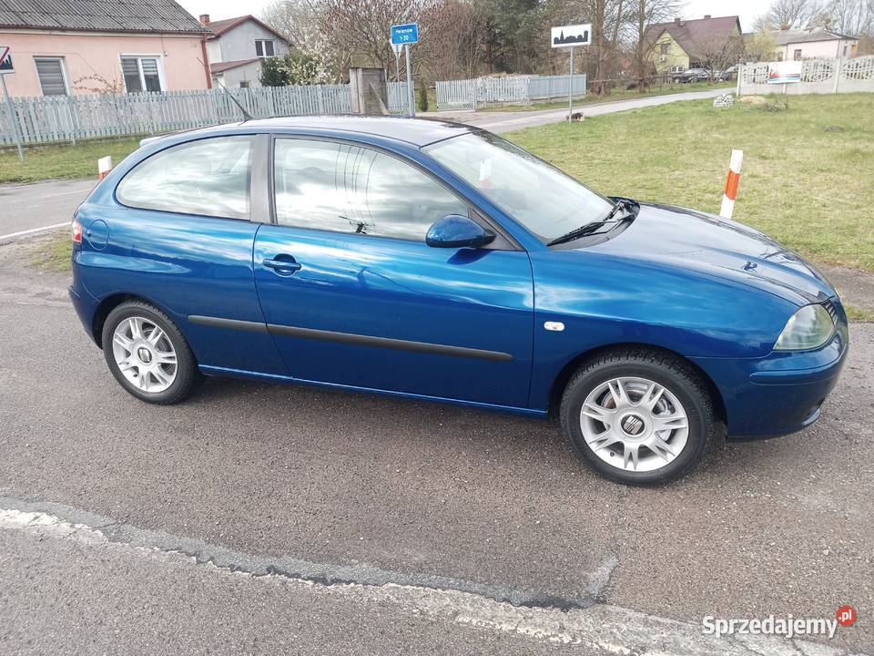 Seat Ibiza 2004r 14 16V 101 2/3
