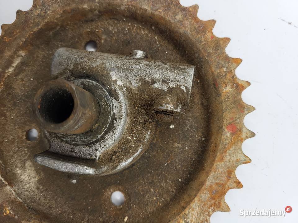 ZĘBATKA TYŁ SLIMAP KAPĘD TRIUMPH Rybnik