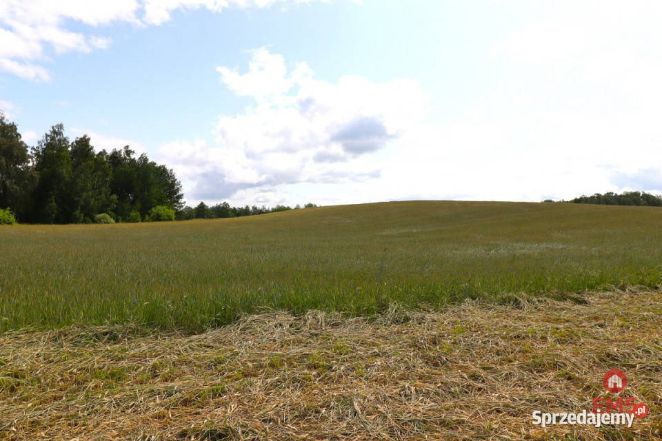 Działka do sprzedania 55000m2 Garbas Drugi 55000m2