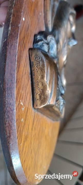 Plaskorzezby Tarnów