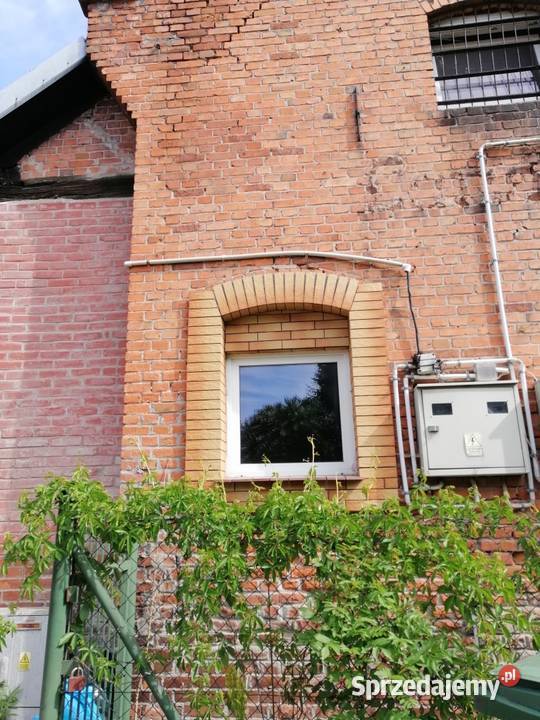 12 udziału w lokalu niemieszkalnym Syndyka Ilość pomieszczeń 2 pomorskie Prabuty