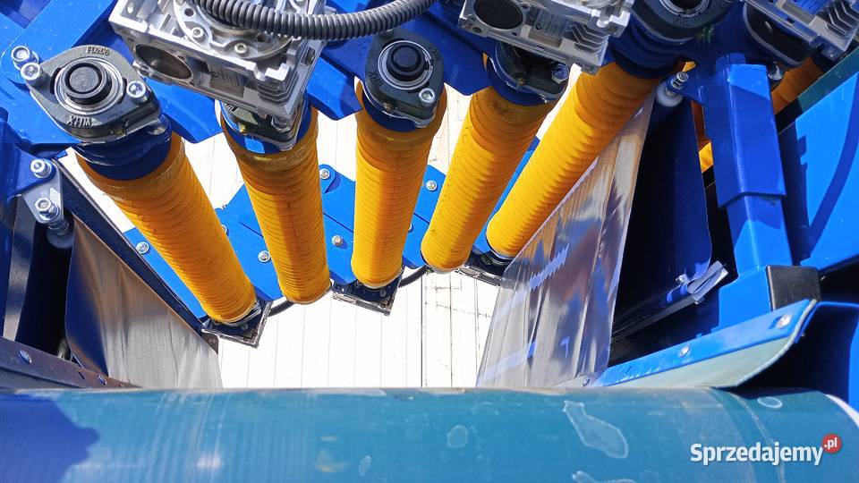 Sortownik rolkowy warzyw ziemniaków cebuli Zakrzewo