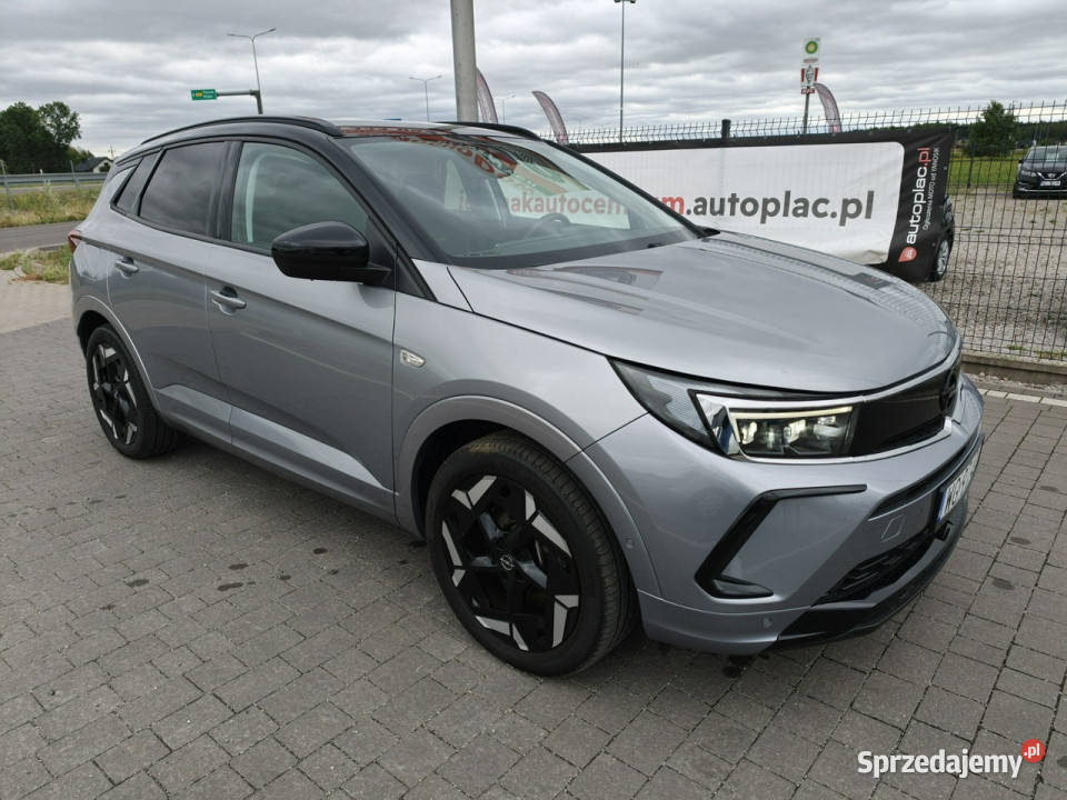 Opel Grandland Lipówki