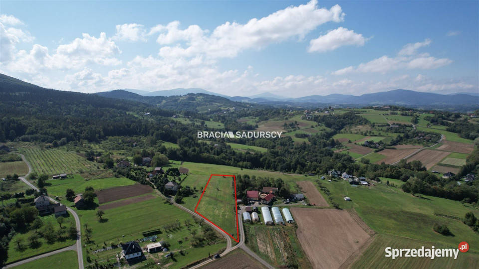 Działka Szyk 4781m2 budowlana