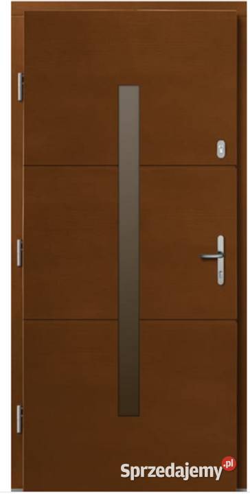 DRZWI DREWNIANE 1000 x 2100 PROXIMA DRZWI DREWNIANE 1000 x 2100 PROXIMA