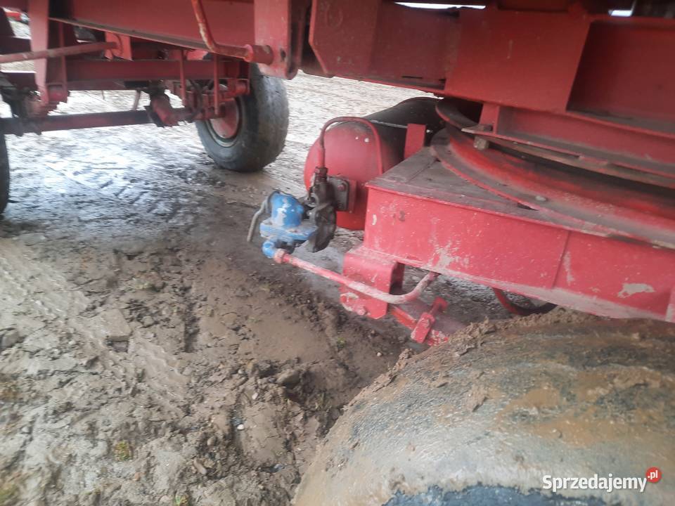 Przyczepa Brandys 8ton Chochołów