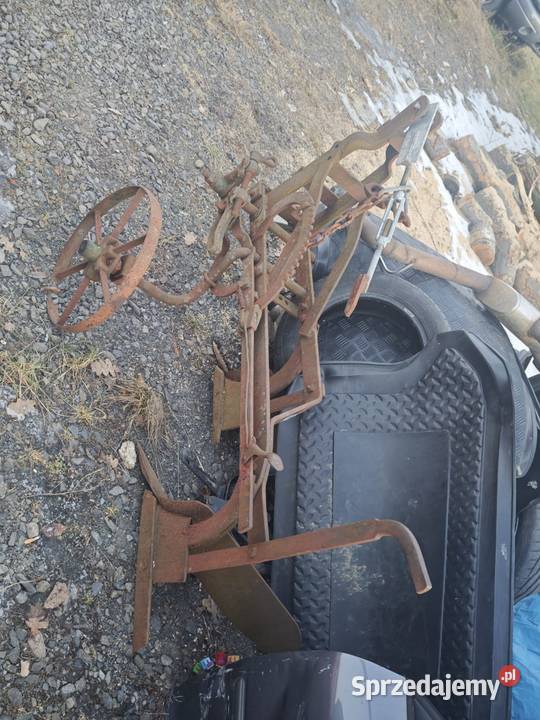 Pług konny dwuskibowy Rząśnik