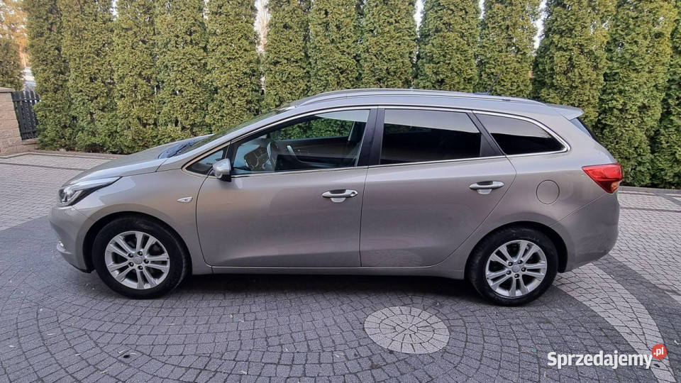 Kia Ceed Led Navi Kamera 16 135 GWARANCJA Zakup Płońsk
