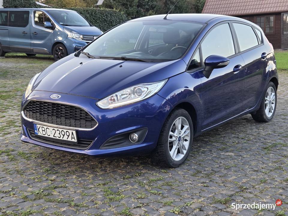 Ford Fiesta Mk7 benzyna Nowy Wiśnicz