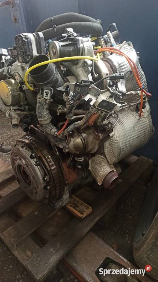 Silnik Renault K9K876 K9KU876 kompletny Rogów sprzedam