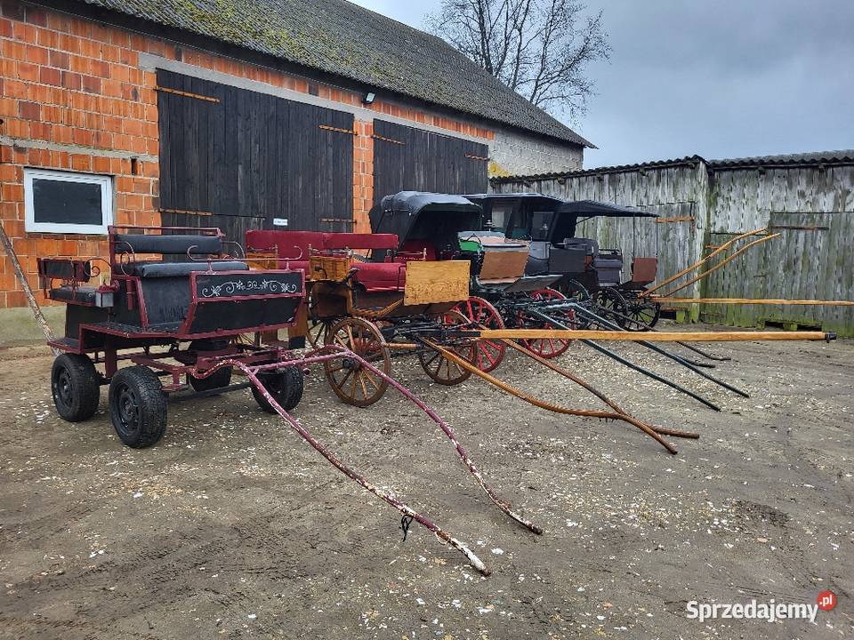 Bryczki Dla koni sprzedam