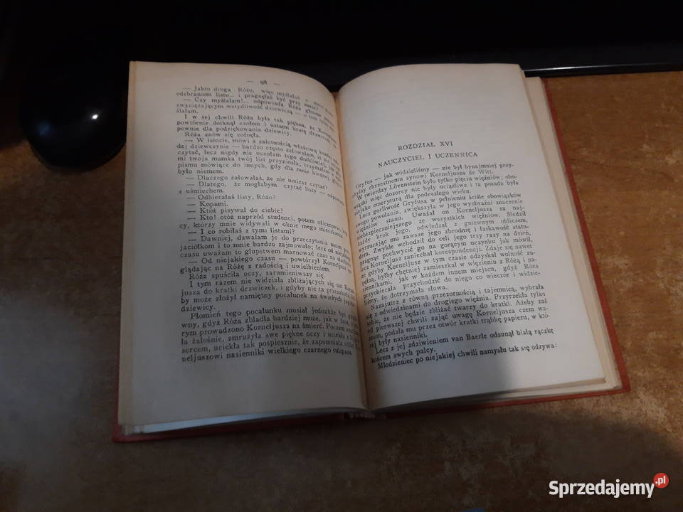 CZRNY TULIPAN DUMAS BIBLRODZINNA19928 OPR ilustr Iwno