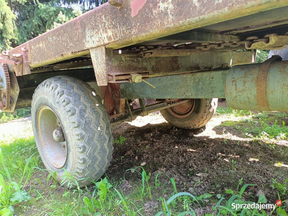 Os z kolami rozrzutnika podkarpackie Jasło