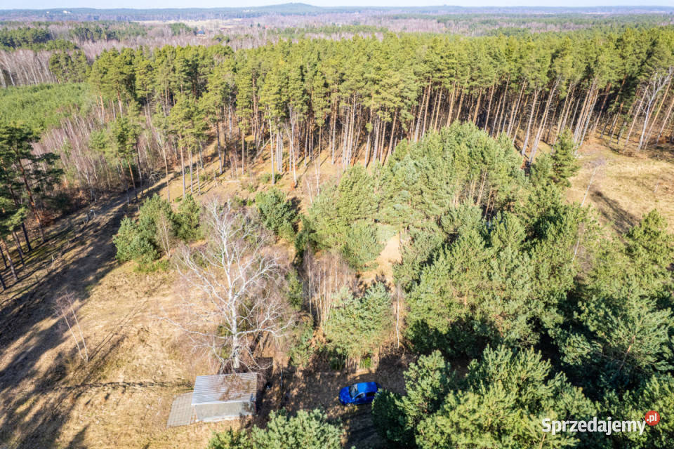 Dom wolnostojący Sasino Stara Cegielnia 40m2 pomorskie