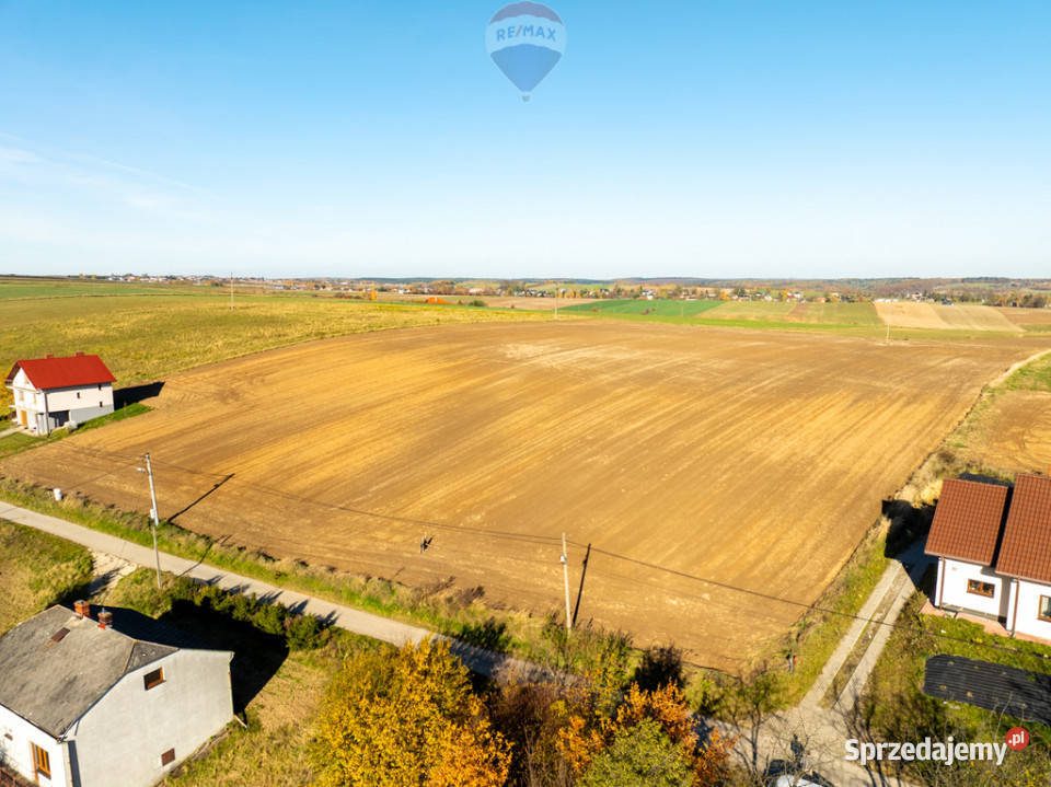 Dom z kawałkiem lasu i bijącym źródłem kSkały Stoki sprzedam