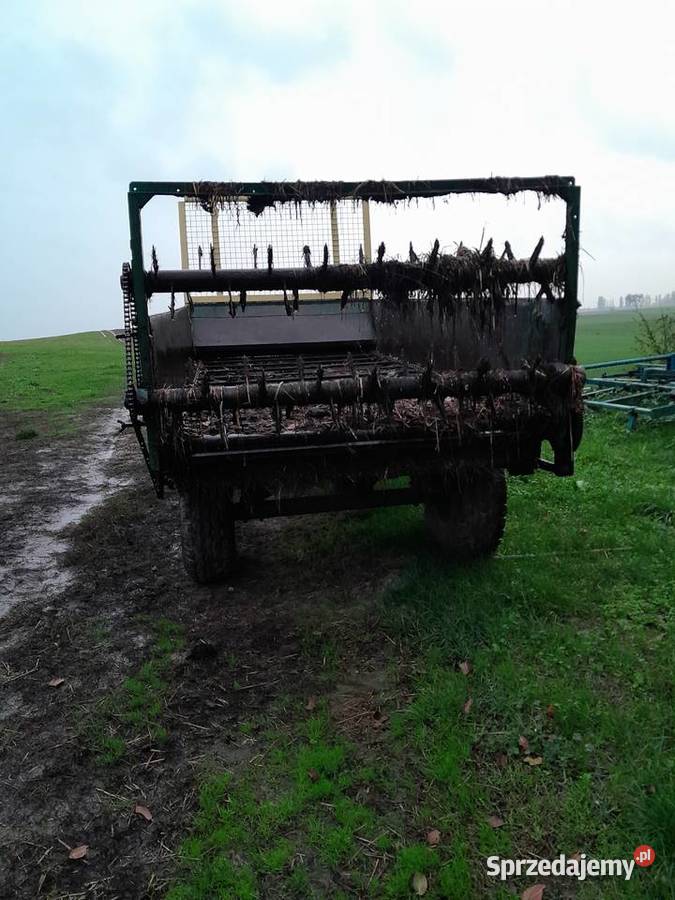 Adapter czarna bialostocka kujawsko-pomorskie Pakość