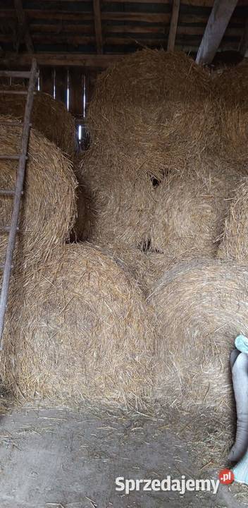 Sprzedam słomę ze stodoły Stara Zbelutka