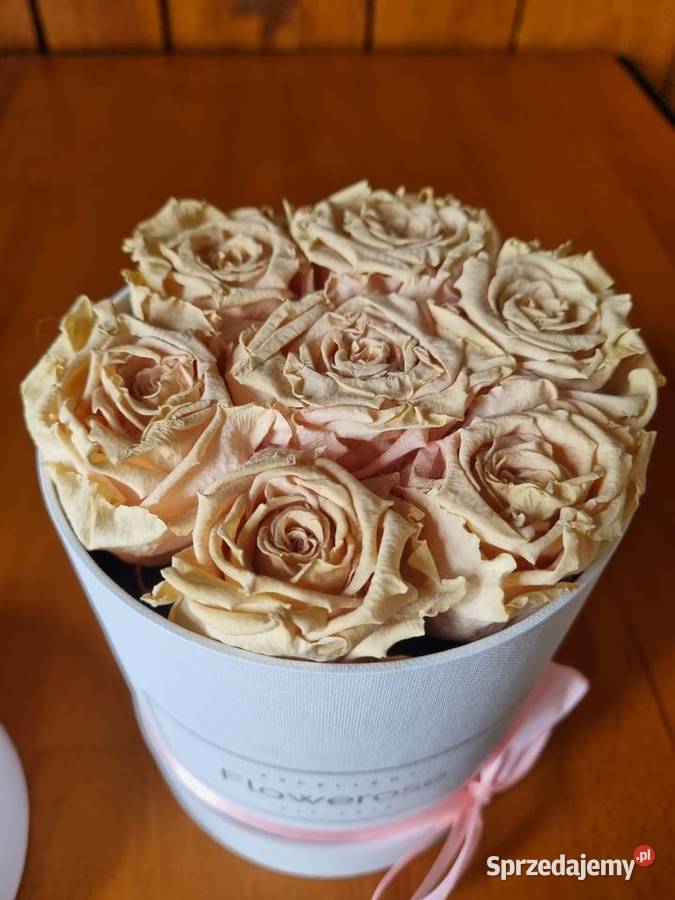 Flower Box z wiecznymi różami mazowieckie Warszawa