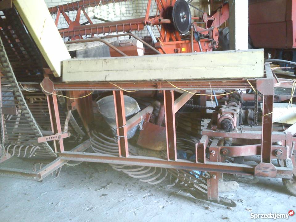 Kopaczka do buraków