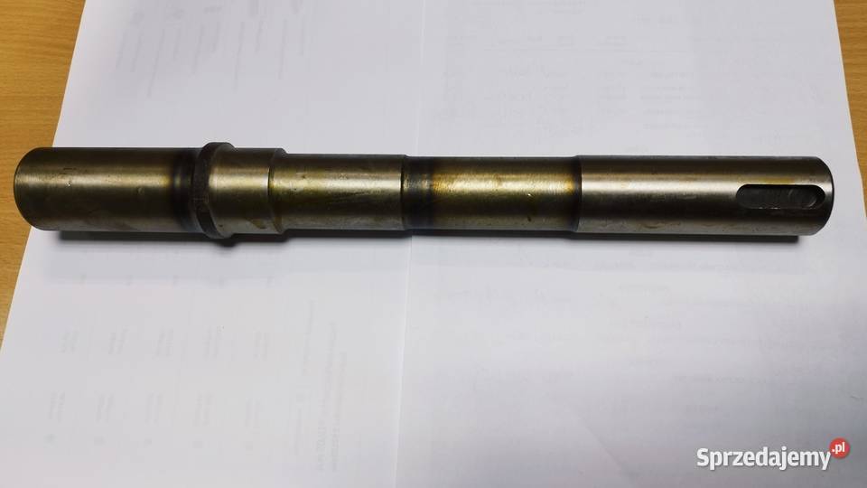 SWORZEŃ ZWROTNICY C328 50015220 Siedlce