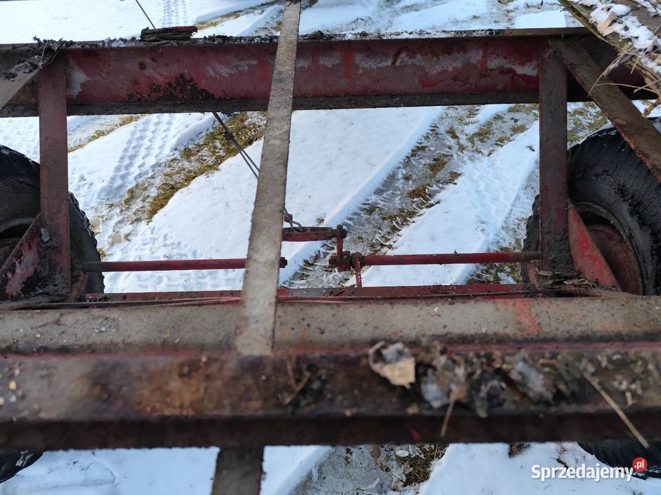 Przyczepa rama do zabudowy lubuskie Krosno Odrzańskie