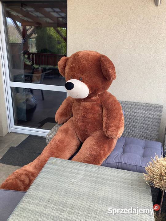 Miś gigant 170 Dla Dziecka