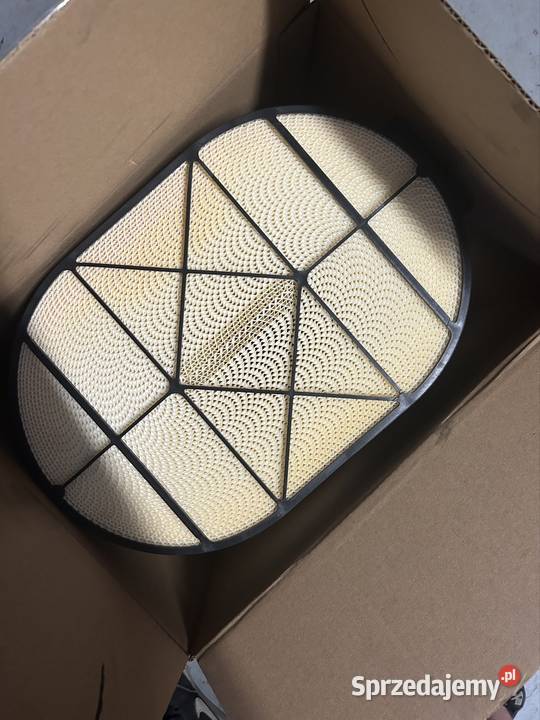 Filtr powietrza donaldson P608667 Gromnik