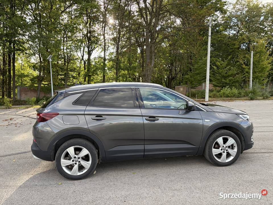 Opel grandland x Bezwypadkowy Bogato wyposażony światła do jazdy dziennej Grandland X Miechów sprzedam