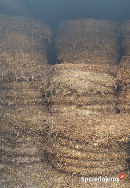 Sprzedam bele słomy Sycyna