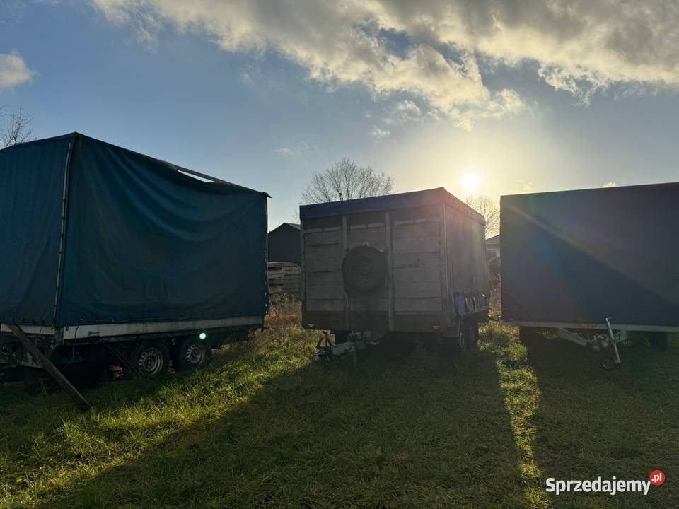 Przyczepkę jednoosiową BORO opolskie Chrząstowice