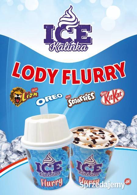 Blender mikser do lodów FLURRY i shake z Sandomierz
