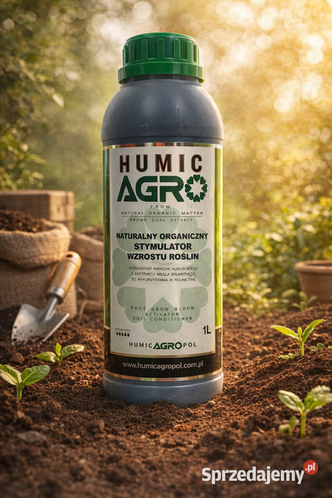 Kwas Humusowy mazowieckie Gołymin-Ośrodek