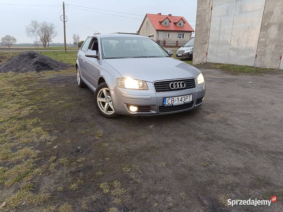 Zadbana audiczka zamienie Inowrocław