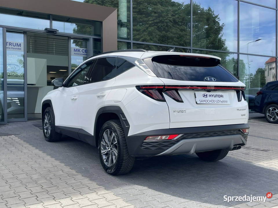 Hyundai Tucson 16TGDI HEV 230 6AT 4WD Executive klimatyzacja Piotrków Trybunalski