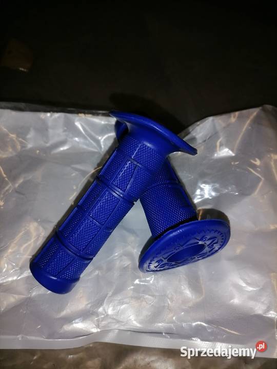 Manetkigripy niebieskie Radom