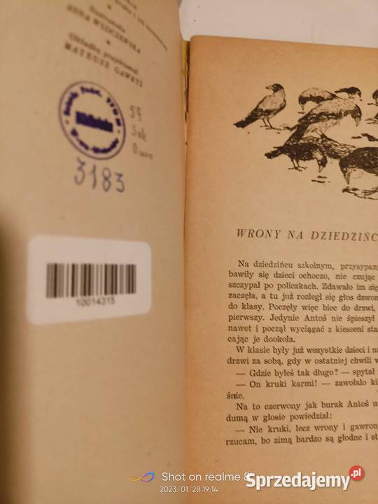 O wronie kruku i ich krewniakach Sokołowski sprzedam