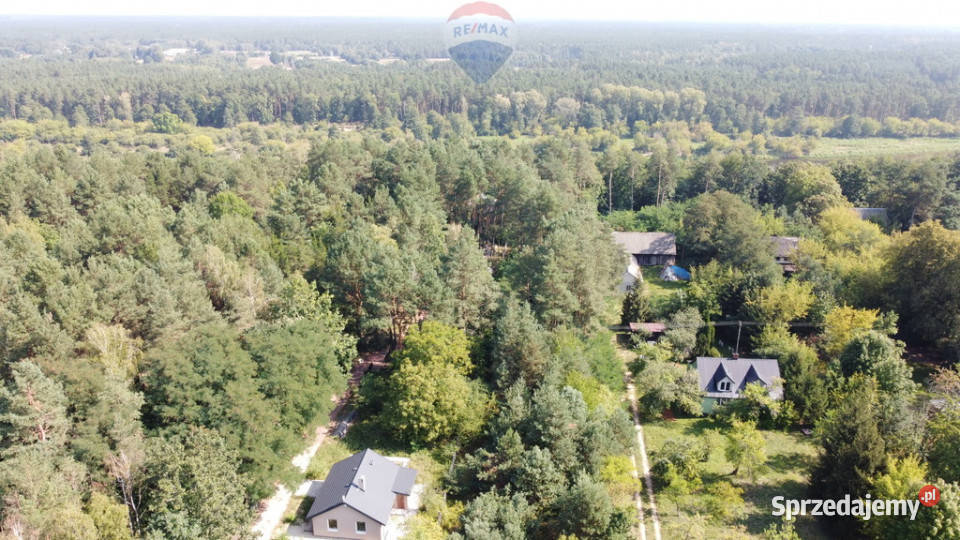 Działka budowlana 5000 m Różan Narew Paulinowo