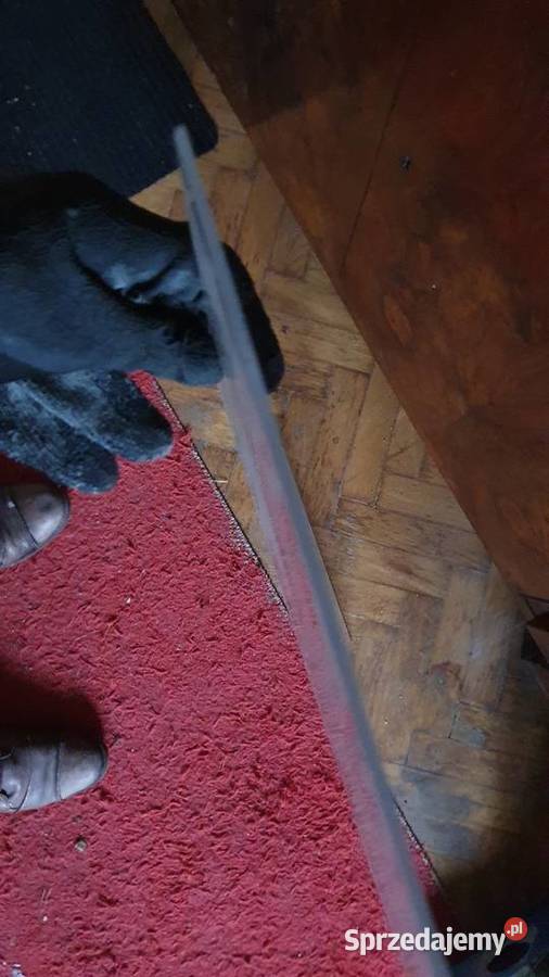 Pleska pleksi 1 m kilka mazowieckie sprzedam