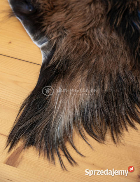 Skóra z kozy kozia skóra kozia skóra dekoracyjna Szaflary