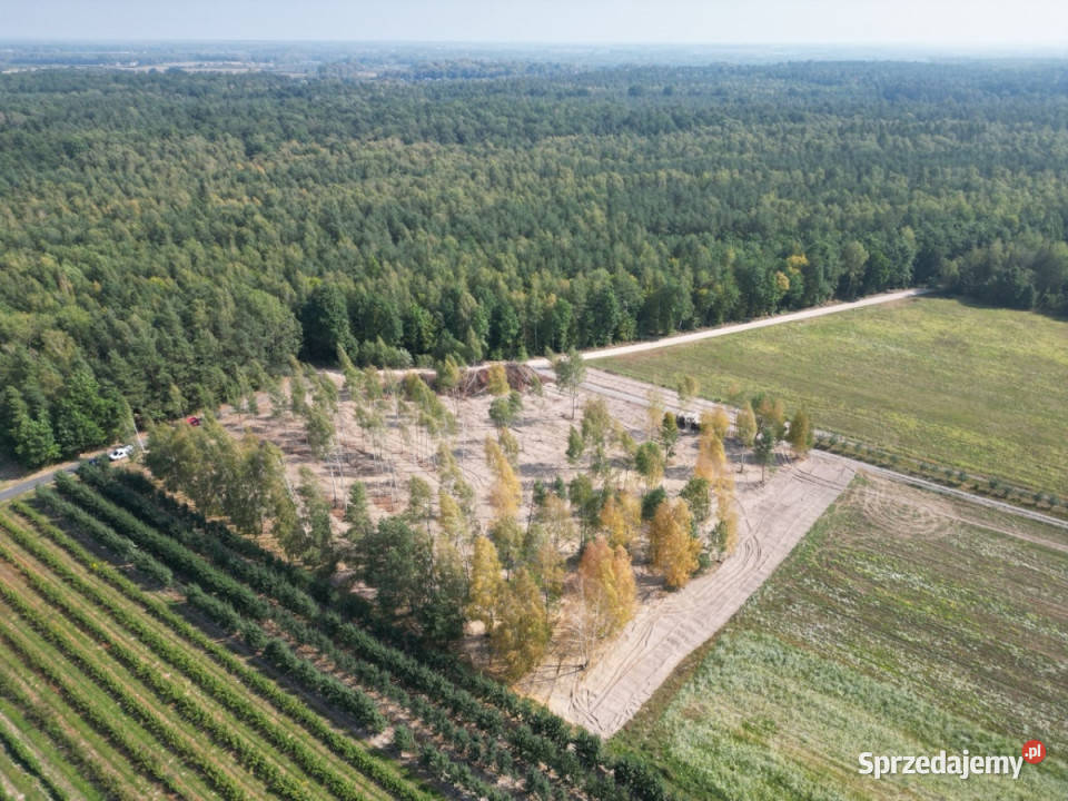 Działki budowlane na sprzedaż40min Pruszkowa Pruszków