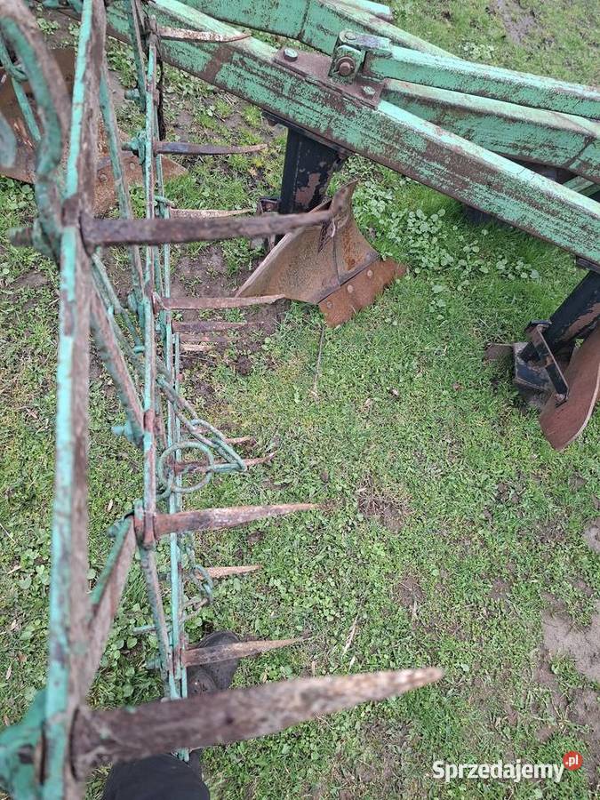 Brony 3ki Grudziądzkie średnie Jasło