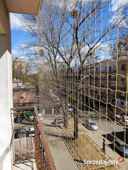 Założenie siatki na balkon przeciw ptakom Warszawa usługi dla zwierząt
