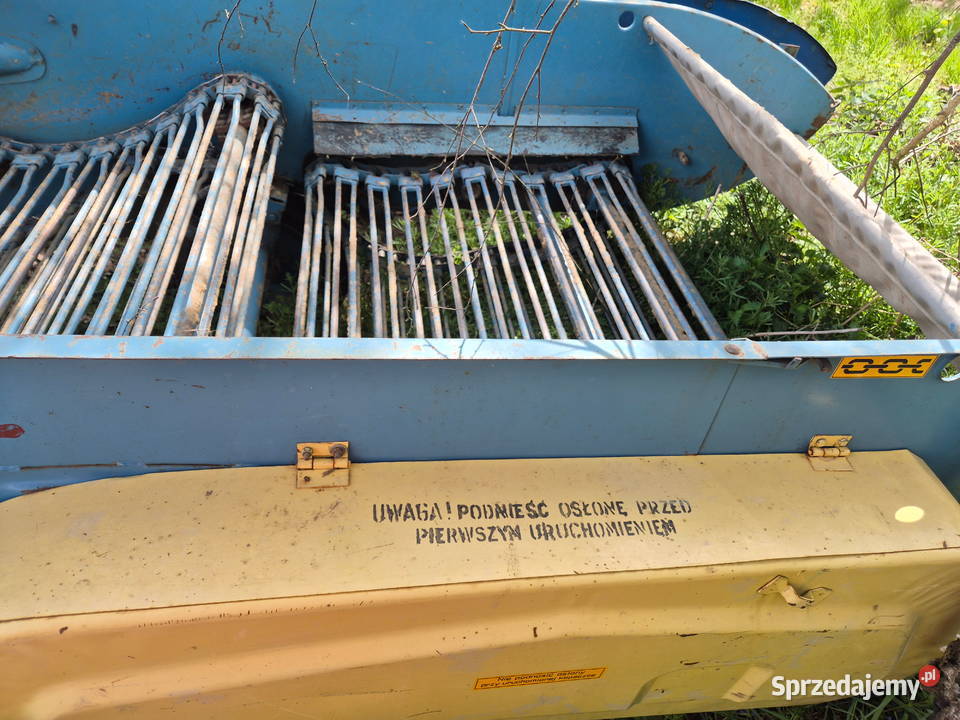 Kopaczka elewatorowa do ziemniaków Bucze sprzedam