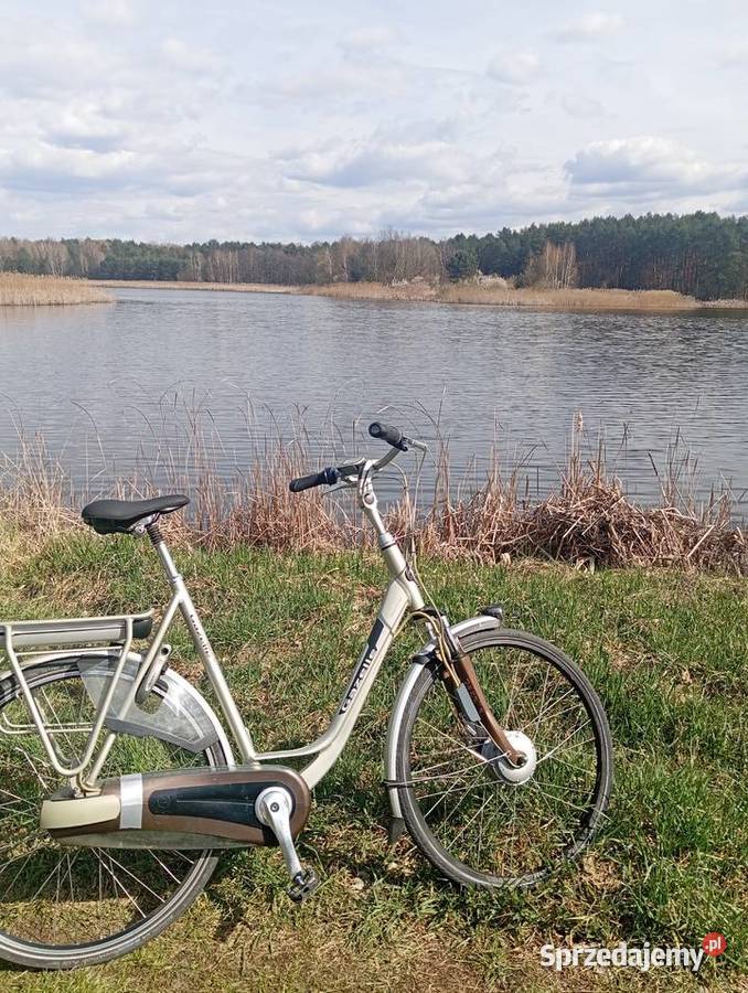 Sprzedam rower gazela Orange elektryczny lubelskie Ryki