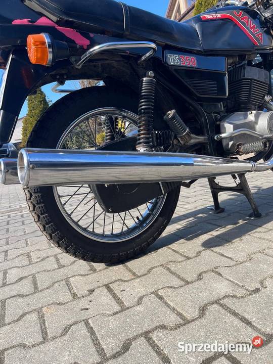 Jawa 350 TS Czernice Borowe