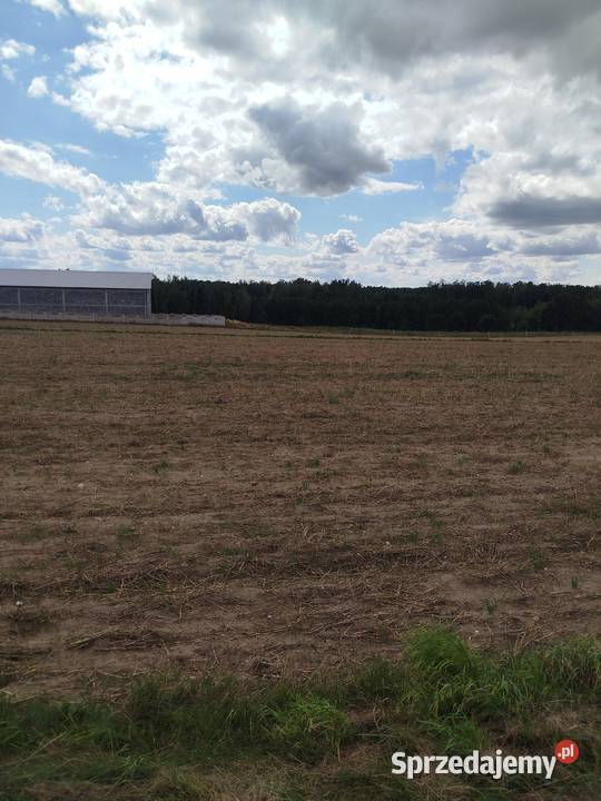 Sprzedam działkę budowlaną z wz Babczów sprzedam